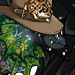 porifra's avatar