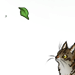 Ramanth's avatar