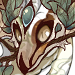 Hex's avatar