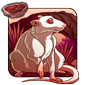 Fancy Rat