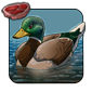 Mallard
