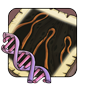 Secondary Gene: Sarcophagus